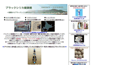 Desktop Screenshot of blacksirika.com